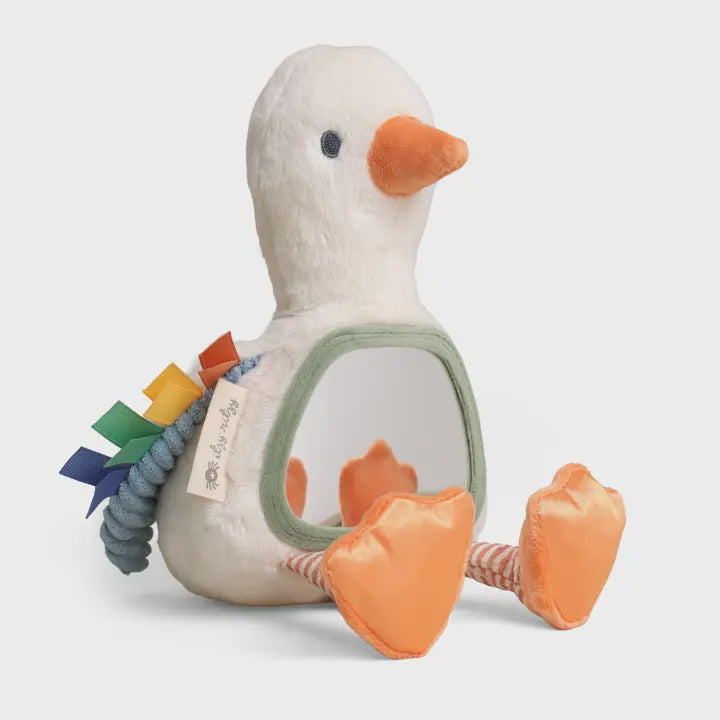 Mirror Goose