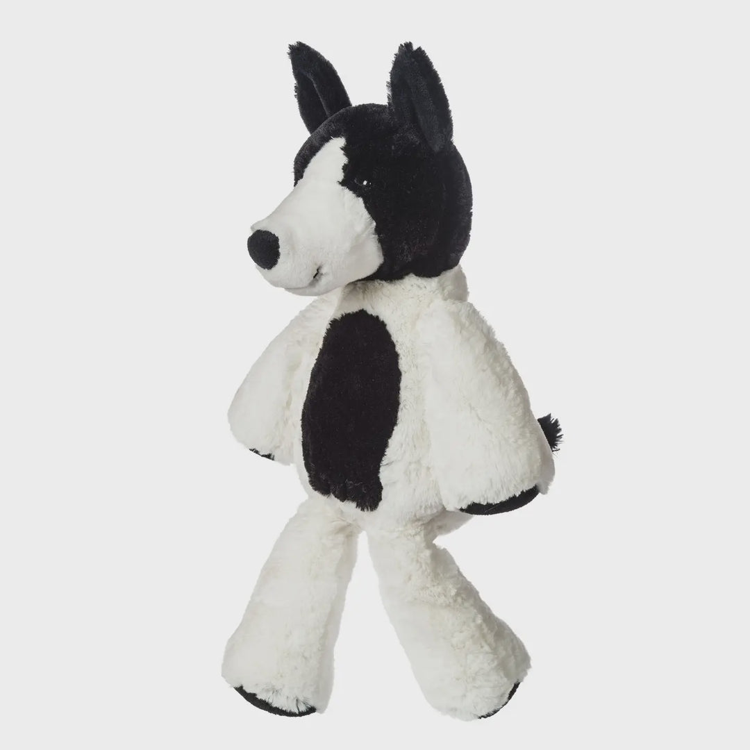 Marshmallow Trixie Terrier