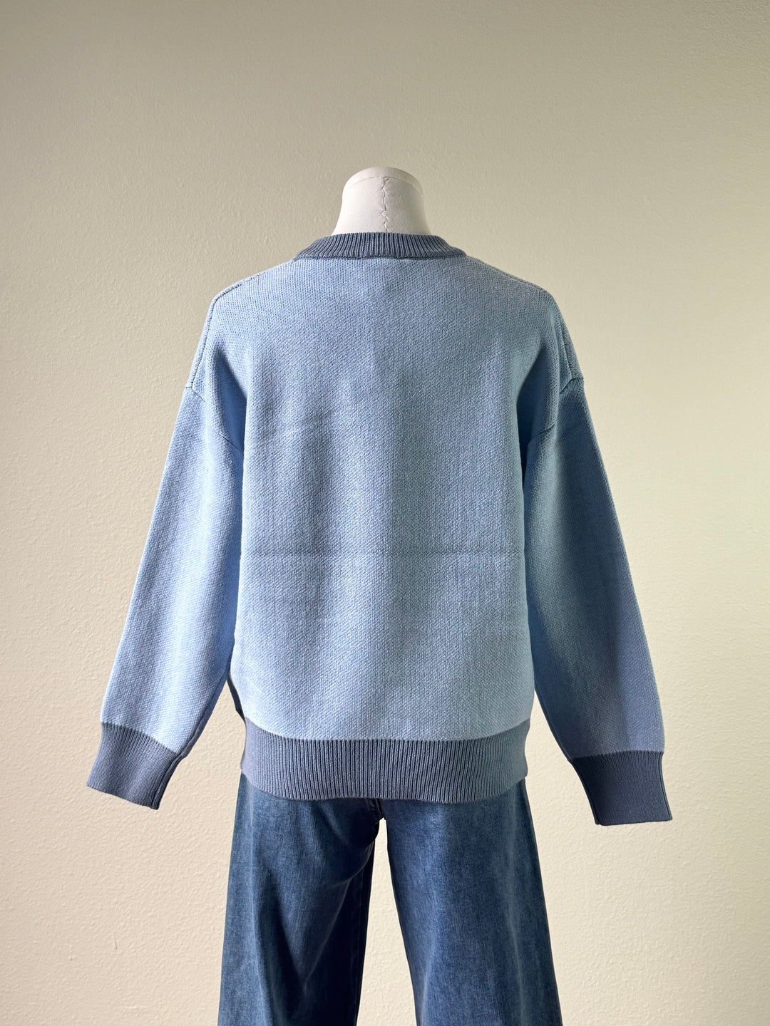 Fish Friends Sweater