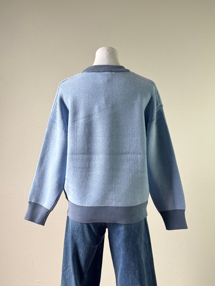 Fish Friends Sweater