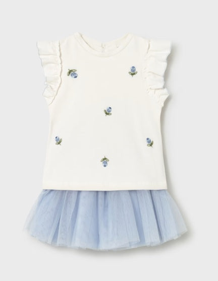 Girls Top &amp; Tutu Set
