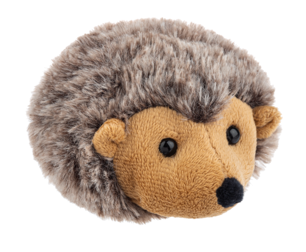 Mini Hedgehog