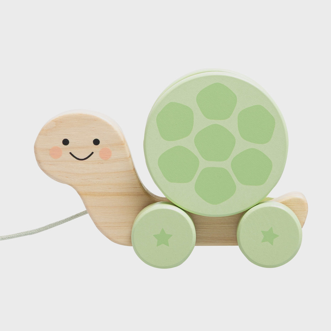 Turtle Wooden Pull Toy