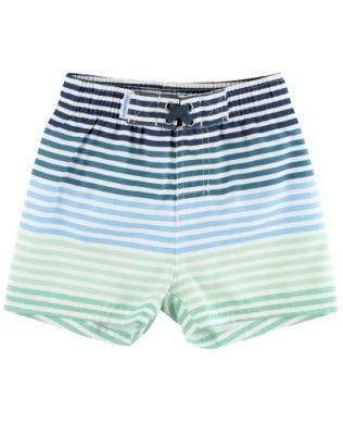 Coastal Stripe Swim Trunks